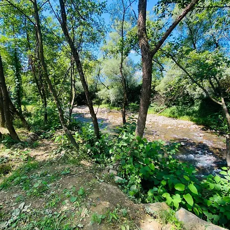 Appartement Sunny в жк сонячний квартал